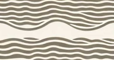 Wavelet Was Unable To Instantiate