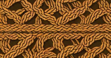 What Is Garter Stitch In Knitting