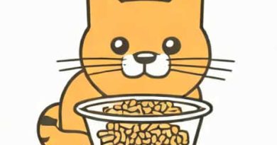 What Is Hairball Control Cat Food