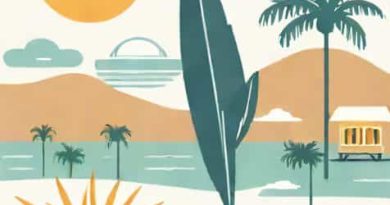 What Is The Californian Ideology