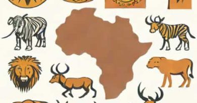 Who Are The Zulus In South Africa