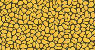 Zymogen Granules In Serous Acini