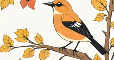 A Small Songbird That Searches Acrobatically For Insects