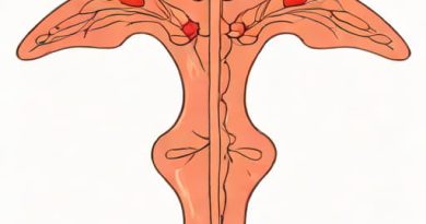 A Surgical Excision Of The Gallbladder Is Termed
