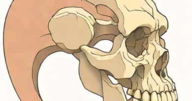 An Example Of A Secondary Cartilaginous Joint Is