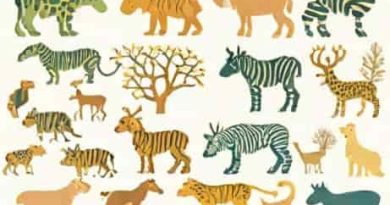 Biological Morphological And Phylogenetic Species Concepts