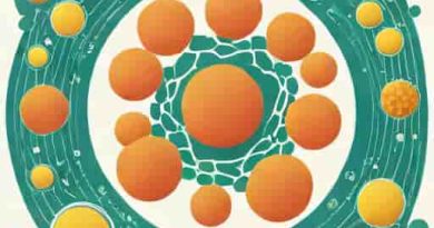 Cell Organelle Responsible For Protein Synthesis