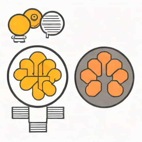 Compare And Contrast Implicit And Explicit Memory
