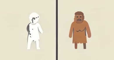 Difference Between Paleolithic Mesolithic And Neolithic Age