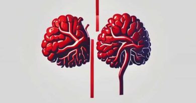 Difference Between Thrombotic Embolic And Hemorrhagic Stroke