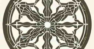 Each Villus Contains A Lymphatic Vessel Called A