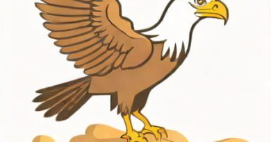 Eagerness And Perseverance Are Important Qualities Because