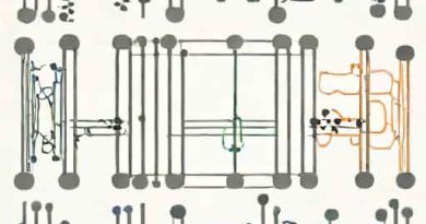 Electronic Spectra Of Transition Metal Complexes