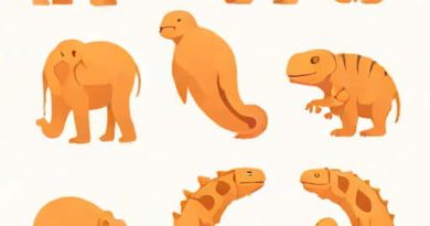 Evolution Embryological Evidence Was Rejected By