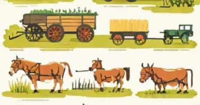 Factors That Led To Agrarian Revolution In Britain