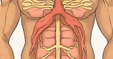 Fatty Infiltration Of The Paraspinal Musculature