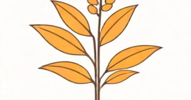 First Transgenic Plant Released For Commercial Use Was