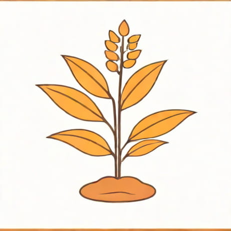 First Transgenic Plant Released For Commercial Use Was