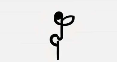 From Which Embryological Structure Is The Ureter Derived