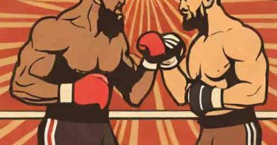 Fury And Usyk'S Heavyweight Championship Rematch