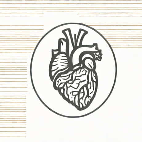 Generally Speaking When The Ventricle Contracts Systole The
