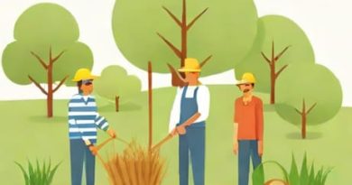 Grounds For Disqualification Of Agrarian Reform Beneficiaries