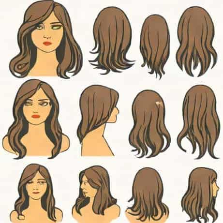 Gustatory Hairs Protrude Through Which Of The Following