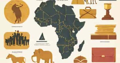 History Of Constitution And Constitutionalism In Africa