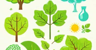 How Are Photosynthesis And Cellular Respiration Similar