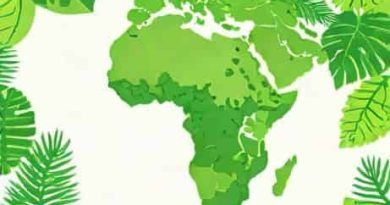 In Which Continent Is The Amazonian Rainforest Found