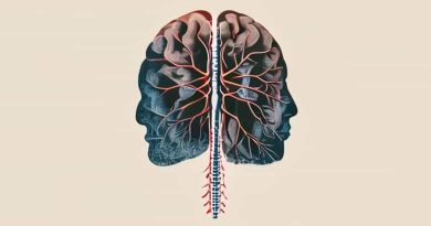 Intracranial And Intraspinal Phlebitis And Thrombophlebitis
