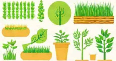 Journal Of Advances In Agronomy And Crop Science