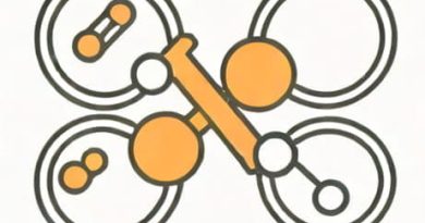 Know The Relationship Between Relatedness And Similarities
