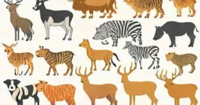 Largest Number Of Transgenic Animals Existed Are