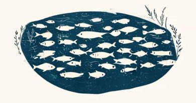 Overpopulated Fishpond Effect To The Cycle Of Organisms
