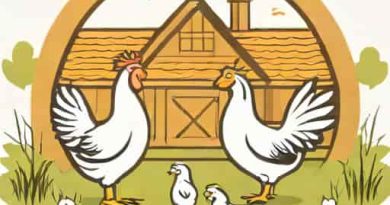 Poultry Farming Is Undertaken To Raise Following
