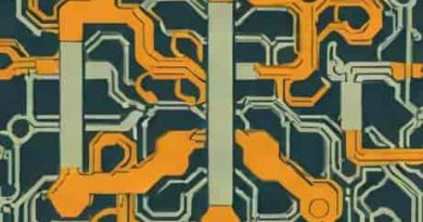 Processing Of Filtrate In The Proximal Convoluted Tubule