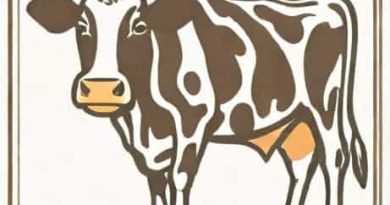 Production Of Transgenic Cow Fulfill The Objective Of