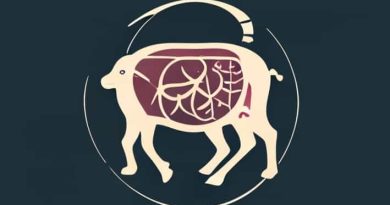 Quantitative Aspects Of Ruminant Digestion And Metabolism