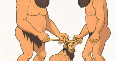 Researchers Hypothesize That The Stocky Body Of Neanderthals