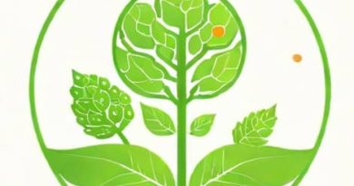 Respiration Is A Biochemical Process Opposite To Photosynthesis