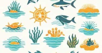 Schematically Represent The Zonation Of The Marine Ecosystem