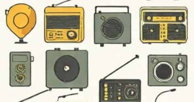 The First Countrywide Network Of Radio Stations Was