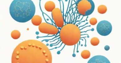 The Process Used By Lymphocytes To Engulf Bacteria