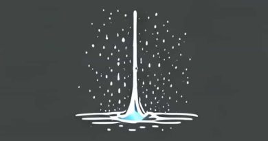 The Sprinkling Of Water Reduces Slightly The Temperature