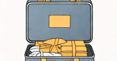 What Is The Baggage Allowance For British Airways
