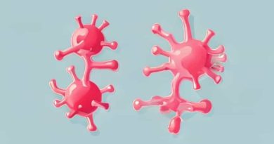 What Is The Difference Between Bacteremia And Septicemia