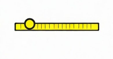 Which Part Of A Spirit Level Indicates Levelness