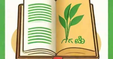 Year Of Publication Of The First Esperanto Textbook