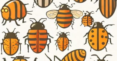 Bugs That Look Like Roly Polys